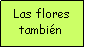 Cuadro de texto: Las flores tambin