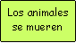 Cuadro de texto: Los animales se mueren